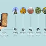 2nd place Best Masters project + Dan Man Award, Arch 560, materials study